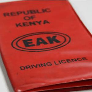 1 Year Driving License Renewal